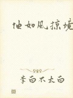 他如风掠境