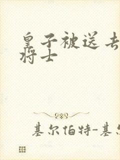 皇子被送去犒劳将士