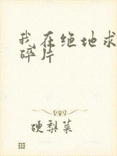 我在绝地求生捡碎片