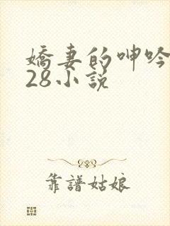 娇妻的呻吟1—28小说