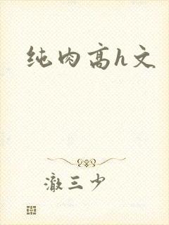 纯肉高h文