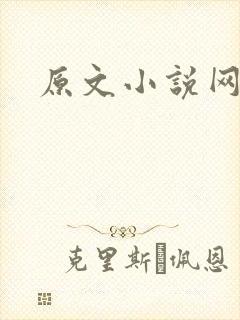 原文小说网