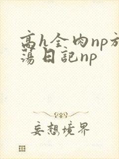 高h全肉np放荡日记np
