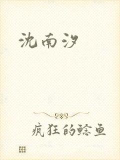 沈南汐