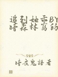 追到她乖BY黑暗森林写的小说