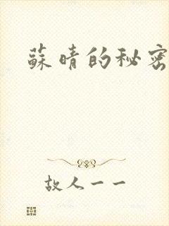 苏晴的秘密小说
