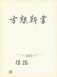 方想新书