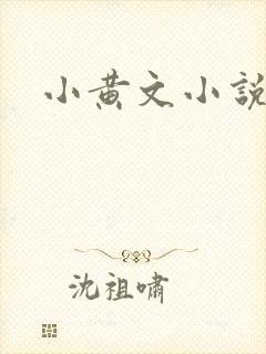 小黄文小说