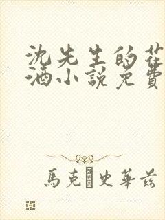 沈先生的花式调酒小说免费阅读