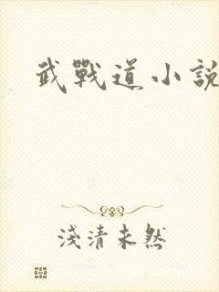 武战道小说