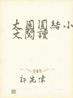 大团圆结小茹全文阅读