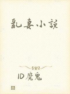 乱妻小说