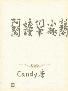 阿姨们小说全文阅读笔趣阁