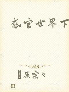 感官世界下载