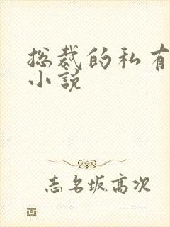 总裁的私有宝贝小说