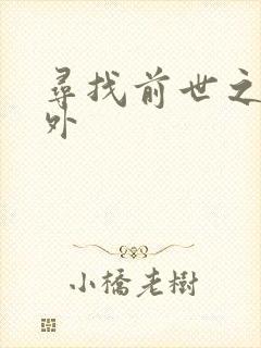 寻找前世之旅番外