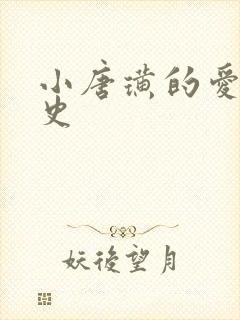 小唐璜的爱情历史