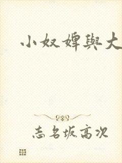 小奴婢与大少爷