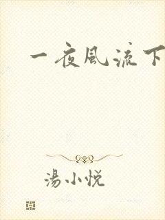 一夜风流下载