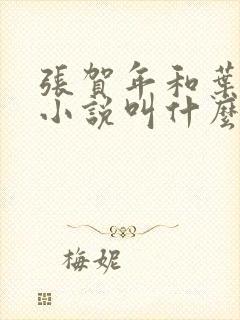 张贺年和叶繁姿小说叫什么名字