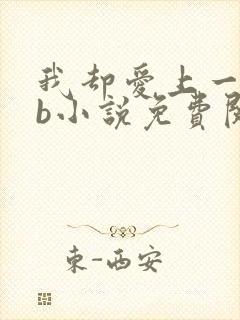 我却爱上一个sb小说免费阅读无弹窗