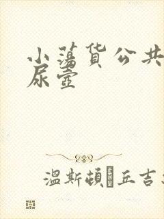 小荡货公共精厕尿壶