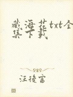 藏海花txt全集下载