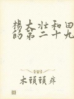 杨大壮和田桂花的第二十九