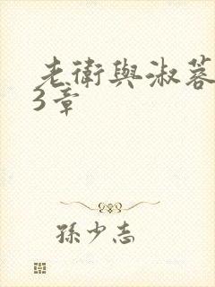 老卫与淑蓉第13章