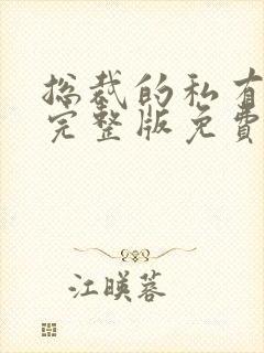 总裁的私有宝贝完整版免费阅读