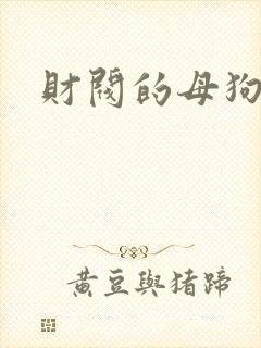 财阀的母狗们