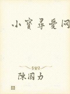 小宝寻爱网
