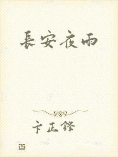 长安夜雨