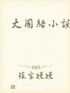 大团结小说阅读