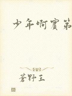 少年啊宾第二部