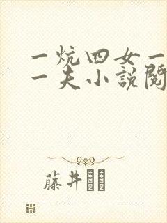 一炕四女一共侍一夫小说阅读