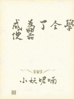 成为了全学校坐便器