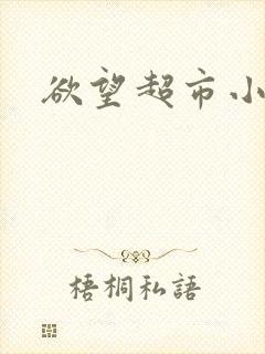 欲望超市小说
