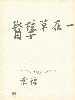 与校草在一起的日子