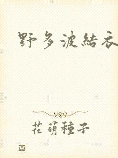野多波结衣