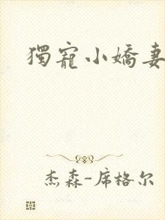 独宠小娇妻
