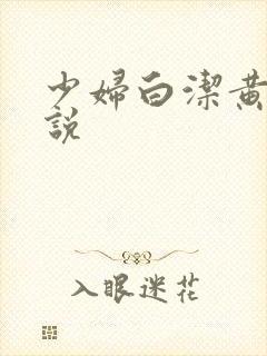 少妇白洁黄色小说