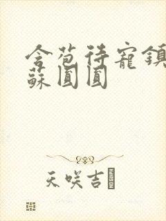 含苞待宠镇国公苏圆圆