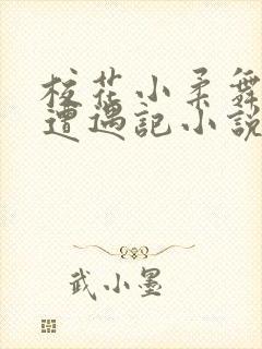 校花小柔舞蹈室遭遇记小说