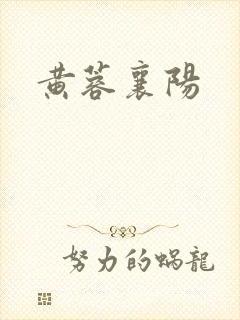 黄蓉襄阳