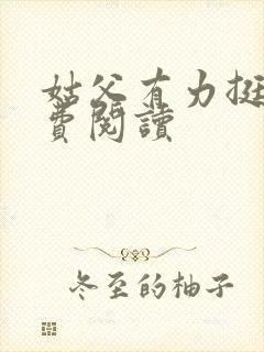 姑父有力挺送免费阅读