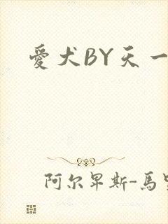 爱犬BY天一