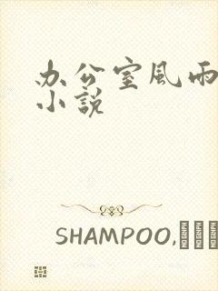 办公室风雨完整小说