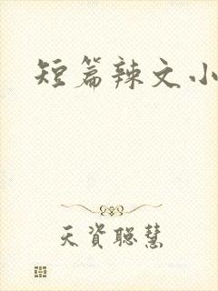 短篇辣文小说