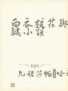 白衣校花与大长腿小说